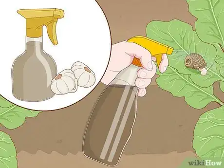 Image titled Get Rid of Snails Step 4