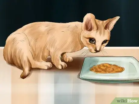 Image titled Encourage Your Cat to Eat Step 3