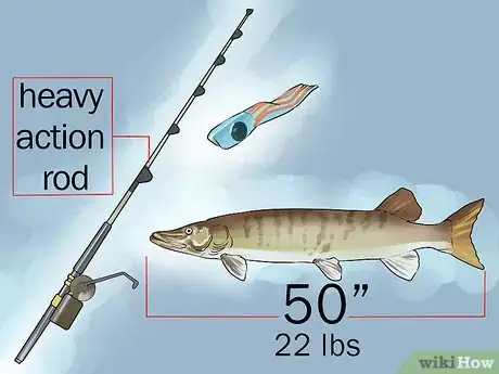 Image titled Catch a Muskie Step 6