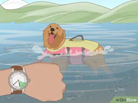 Image titled Safely Introduce Your Dog to Water Step 9