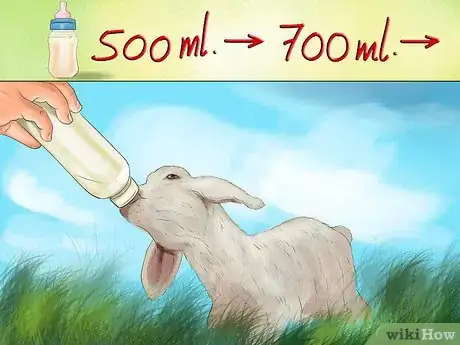 Image titled Bottle Feed a Baby Lamb Step 9