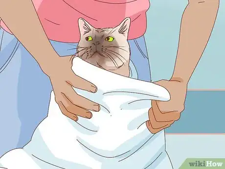 Image titled Bathe an Angry Cat With Minimal Damage Step 9