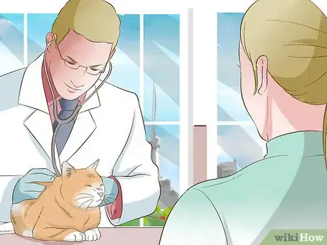 Image titled Perform CPR on a Cat Step 1