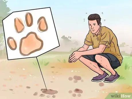 Image titled Fend off a Mountain Lion Step 7