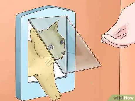 Image titled Fit a Cat Flap Step 13