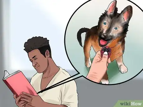 Image titled Train a German Shepherd Step 15