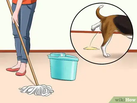 Image titled Use Puppy Pads and Outdoor Potty Training Together Step 7