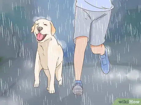 Image titled Wash a Dog Afraid of Water Step 11