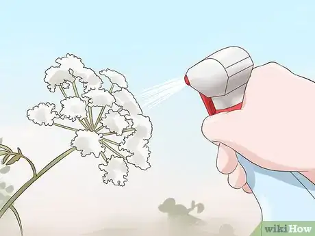 Image titled Protect Your Dog from Poison Hemlock Step 12