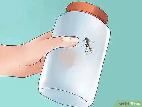 Image titled Kill a Wasp Step 3