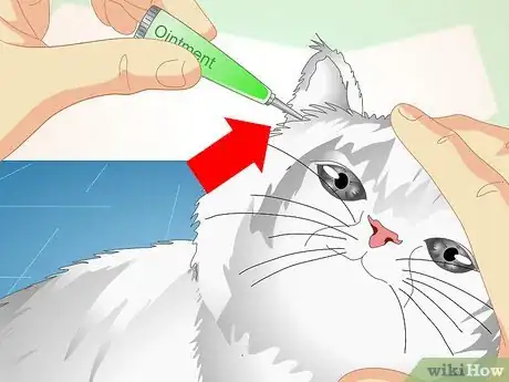 Image titled Check Cats for Ear Mites Step 7