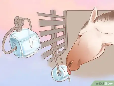 Image titled Care for a Pregnant Mare Step 10