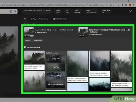 Image titled Search by Image Step 13
