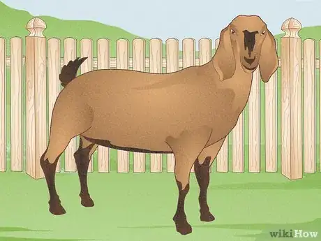 Image titled Raise Goats Step 2