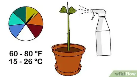 Image titled Grow Hydrangea from Cuttings Step 11