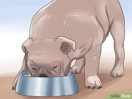 Image titled Help Your Dog Whelp or Deliver Puppies Step 15