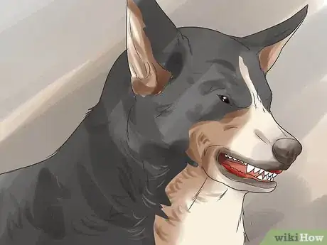 Image titled Get Your Dog to Be Nice to Strangers Step 10