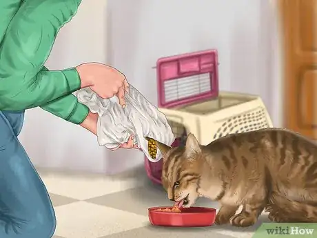 Image titled Choose the Right Place to Feed Your Cat Step 2