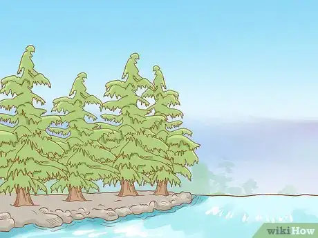 Image titled Identify Cedar Trees Step 17