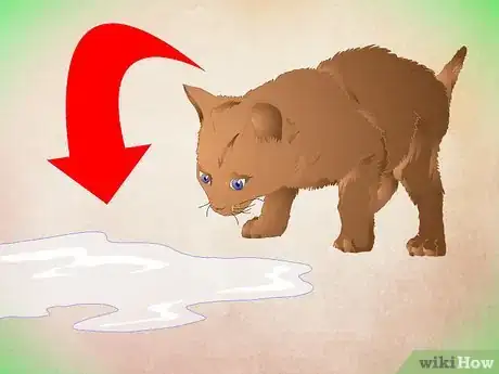 Image titled Make a Kitten Like Water Step 8