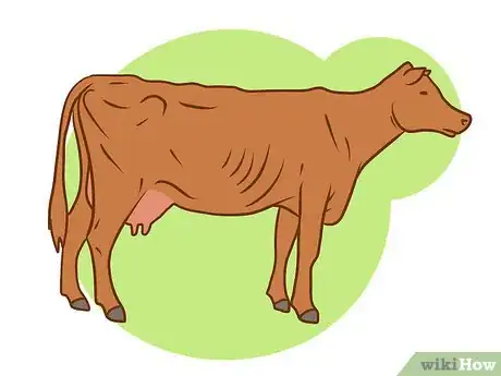 Image titled Judge Body Condition Scores in Cattle Step 5Bullet1