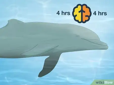 Image titled How Do Dolphins Sleep Step 4