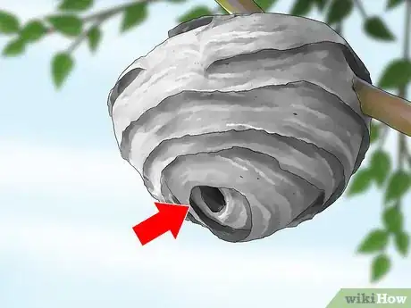 Image titled Kill a Hornet Nest Step 9