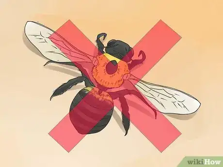 Image titled Kill a Wasp Step 1