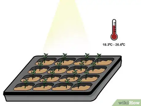 Image titled Grow Hydroponic Lettuce Step 9