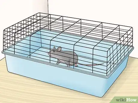 Image titled Care for an Injured Pet Mouse Step 10