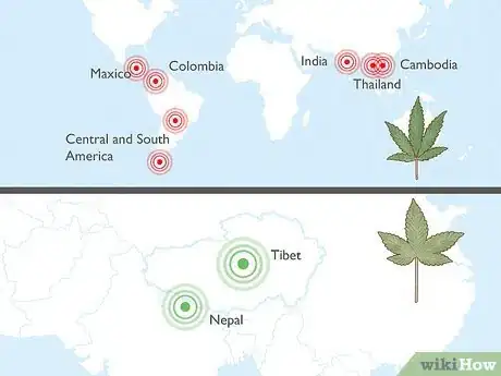 Image titled Tell the Difference Between Indica and Sativa Step 10