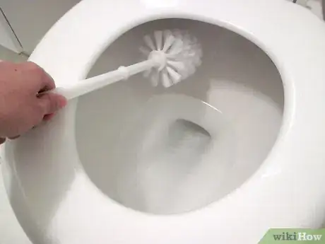 Image titled Use A Toilet Brush Step 1