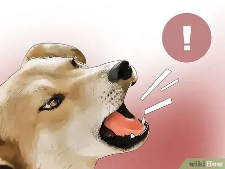 Image titled Remain Calm Around Aggressive Dogs Step 5