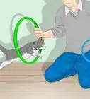 Train a Cat to Jump Through a Hoop