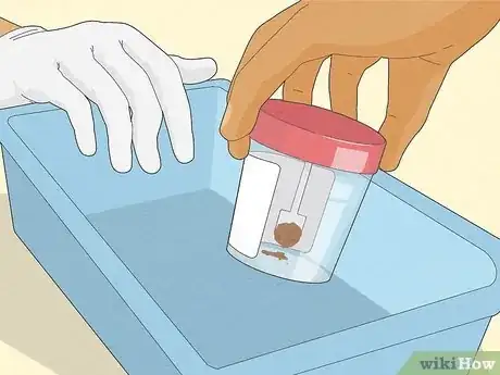 Image titled Take a Stool Sample Step 10