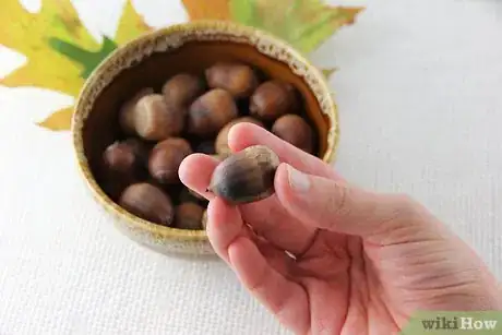 Image titled Dry Acorns for Crafts Step 6