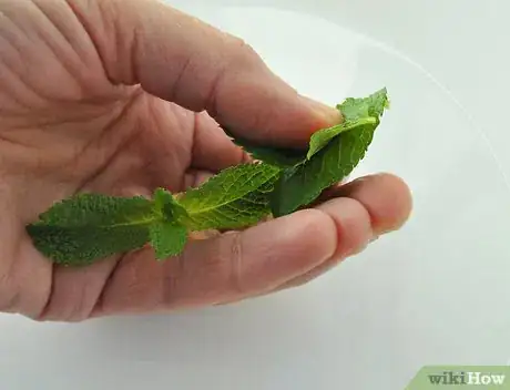 Image titled Make a Virgin Mojito Step 5