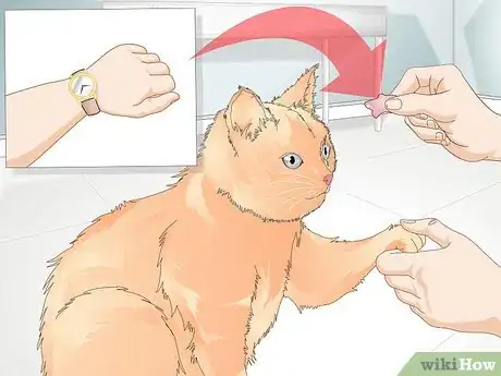 Image titled Teach Your Cat to Give a Handshake Step 12