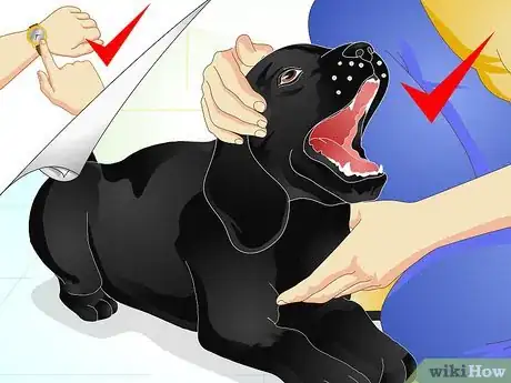 Image titled Raise a Dog Step 1