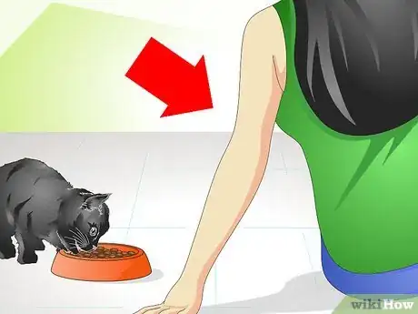 Image titled Help a New Kitten Become Familiar with Your Home Step 10