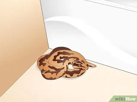 Image titled Deal With a Snake in the House Step 6