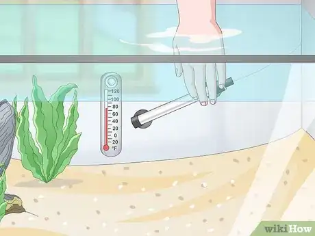 Image titled Set up a Tropical Freshwater Aquarium Step 11