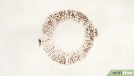 Image titled Make a Mushroom Spore Print Step 5