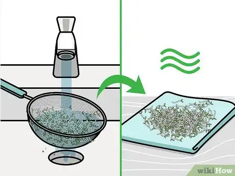 Image titled Grow Broccoli Sprouts Step 13