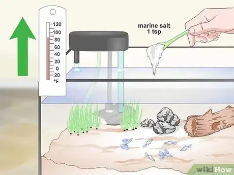 Image titled Keep Guppies Healthy Step 15