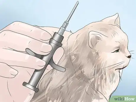 Image titled Inject a Microchip Into a Pet Step 10