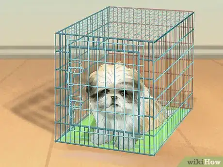 Image titled Housebreak Shih Tzu Puppies Step 2