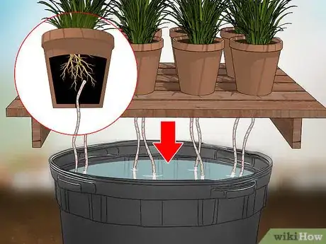 Image titled Keep Outdoor Plants Watered when You're on Vacation Step 11