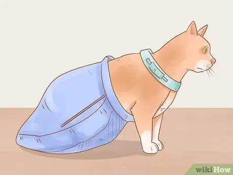 Image titled Help a Cat That Is Dragging Its Rear Legs Step 12