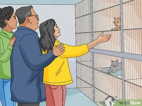 Image titled Convince Your Parents to Let You Get a Cat (Teens) Step 11